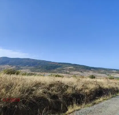 Photo 2 — Meadow in Kyustendil, Kyustendil