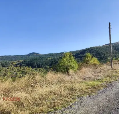 Photo 5 — Meadow in Kyustendil, Kyustendil