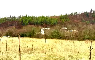 Земеделски имот в Кюстендил, с. Горна Брестница