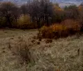 Снимка 2 — Земеделски имот в Кюстендил, с. Жиленци