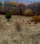 Земеделски имот в Кюстендил, с. Жиленци