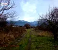 Снимка 5 — Земеделски имот в Кюстендил, с. Самораново