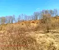 Снимка 2 — Земеделски имот в Ловеч, Априлци