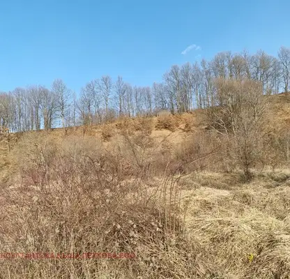 Photo 2 — Agricultural Land in Oblast Lovech, Aprilci