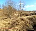 Снимка 3 — Земеделски имот в Ловеч, Априлци