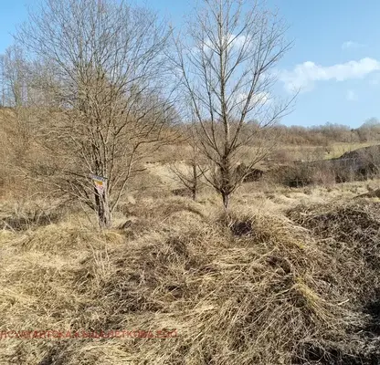 Photo 3 — Agricultural Land in Oblast Lovech, Aprilci