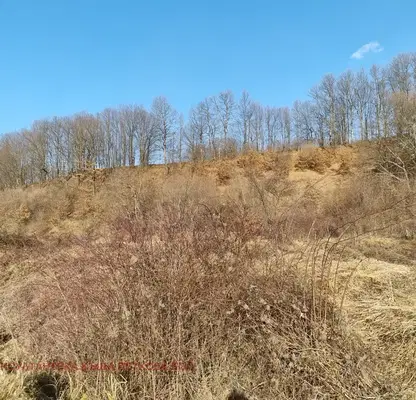 Photo 4 — Agricultural Land in Oblast Lovech, Aprilci