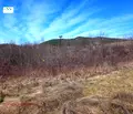 Снимка 4 — Земеделски имот в Ловеч, с. Балабанско