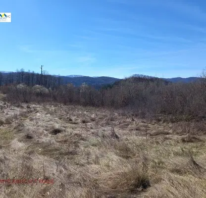 Photo 5 — Agricultural Land in Oblast Lovech, Balabansko