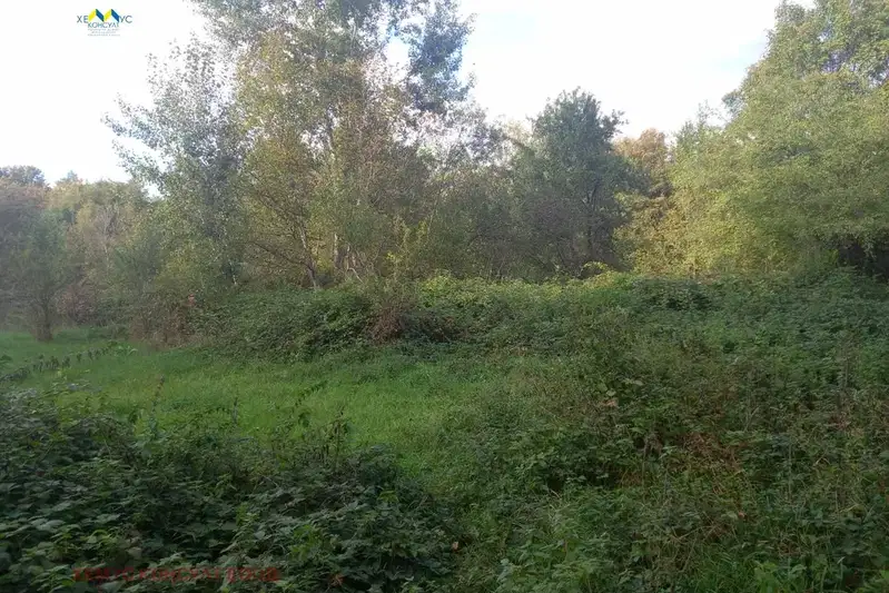 Agricultural Land in Oblast Lovech, Oreshak