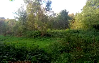 Земеделски имот в Ловеч, с. Орешак