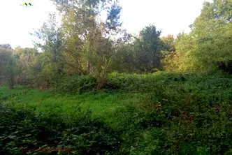 Земеделски имот в Ловеч, с. Орешак