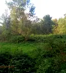 Земеделски имот в Ловеч, с. Орешак