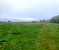 Снимка 2 — Земеделски имот в Пазарджик, Батак