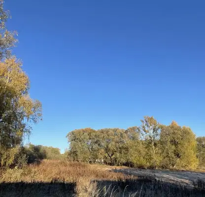 Photo 2 — Agricultural Land in Oblast Pazardjik, Batak