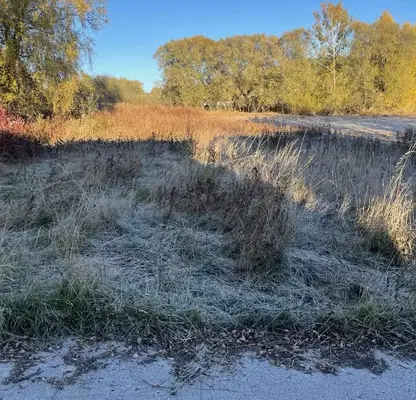 Photo 3 — Agricultural Land in Oblast Pazardjik, Batak