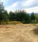 Земеделски имот в Пазарджик, Батак