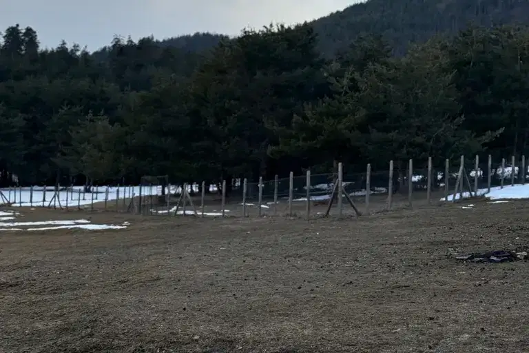Agricultural Land in Oblast Pazardjik, Batak
