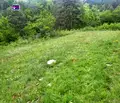 Снимка 2 — Земеделски имот в Пазарджик, Велин