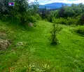 Снимка 3 — Земеделски имот в Пазарджик, Велин
