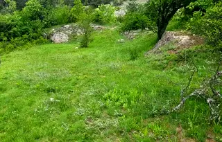 Земеделски имот в Пазарджик, Велин