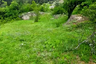 Земеделски имот в Пазарджик, Велин