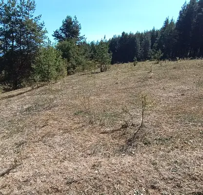 Photo 5 — Agricultural Land in Oblast Pazardjik, Велин