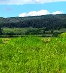 Земеделски имот в Пазарджик, Велин