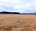 Снимка 2 — Земеделски имот в Перник, Перник