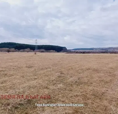 Photo 2 — Meadow in Pernik, Pernik
