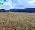 Снимка 3 — Земеделски имот в Перник, Перник