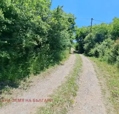 Photo 2 — Agricultural Land in Oblast Pernik, Dragichevo
