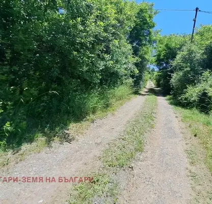 Photo 2 — Agricultural Land in Oblast Pernik, Dragichevo