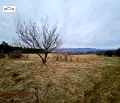 Снимка 4 — Земеделски имот в Перник, с. Драгичево