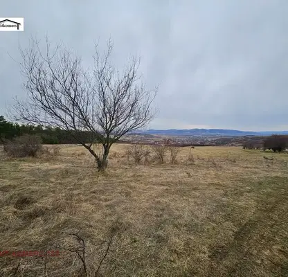 Photo 4 — Agricultural Land in Oblast Pernik, Dragichevo