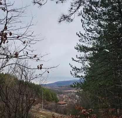 Photo 5 — Agricultural Land in Oblast Pernik, Dragichevo