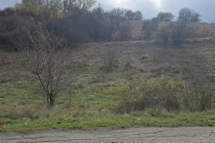 Agricultural Land in Oblast Pernik, Kopanica