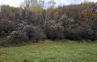 Земеделски имот в Перник, с. Копаница