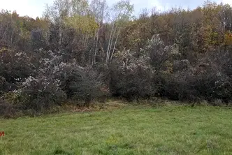 Земеделски имот в Перник, с. Копаница