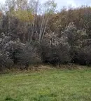 Земеделски имот в Перник, с. Копаница