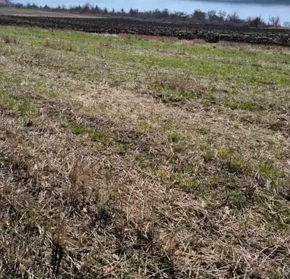 Photo 3 — Agricultural Land in Oblast Pernik, Kovachevci