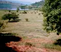 Снимка 2 — Земеделски имот в Перник, с. Ковачевци