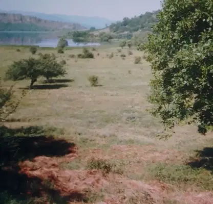 Photo 2 — Agricultural Land in Oblast Pernik, Kovachevci