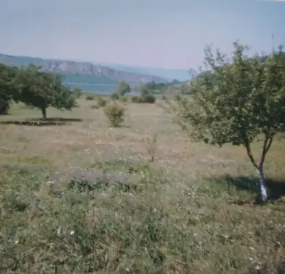 Photo 4 — Agricultural Land in Oblast Pernik, Kovachevci