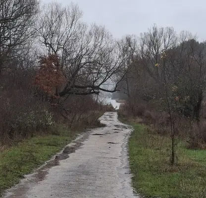 Photo 3 — Agricultural Land in Oblast Pernik, Kovachevci