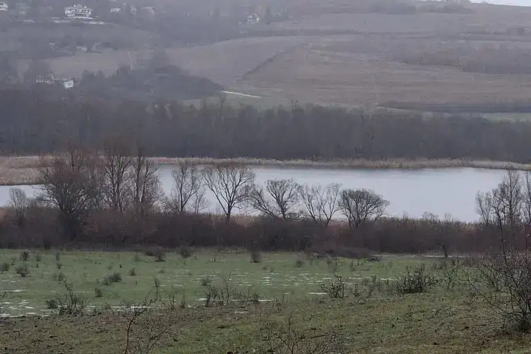 Agricultural Land in Oblast Pernik, Kovachevci