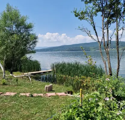 Photo 2 — Agricultural Land in Oblast Pernik, Kovachevci