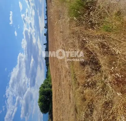 Photo 3 — Agricultural Land in Oblast Plovdiv, Trud