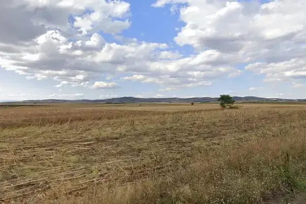 Agricultural Land in Oblast Sliven, Mlekarevo