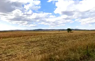 Земеделски имот в Сливен, с. Млекарево